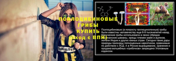 героин Алексин